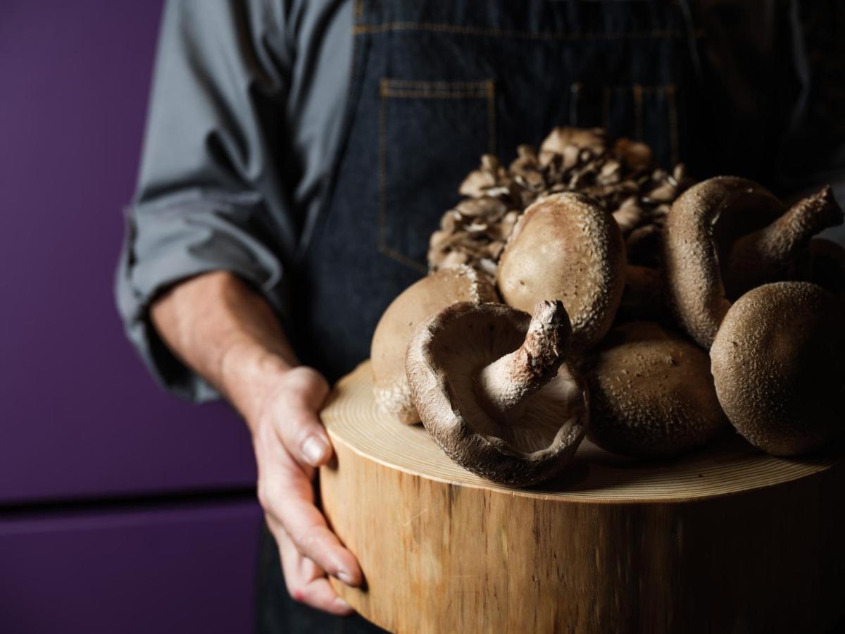 Hyatt Centric קנזאווה מראה חיצוני תמונה Shiitake mushrooms